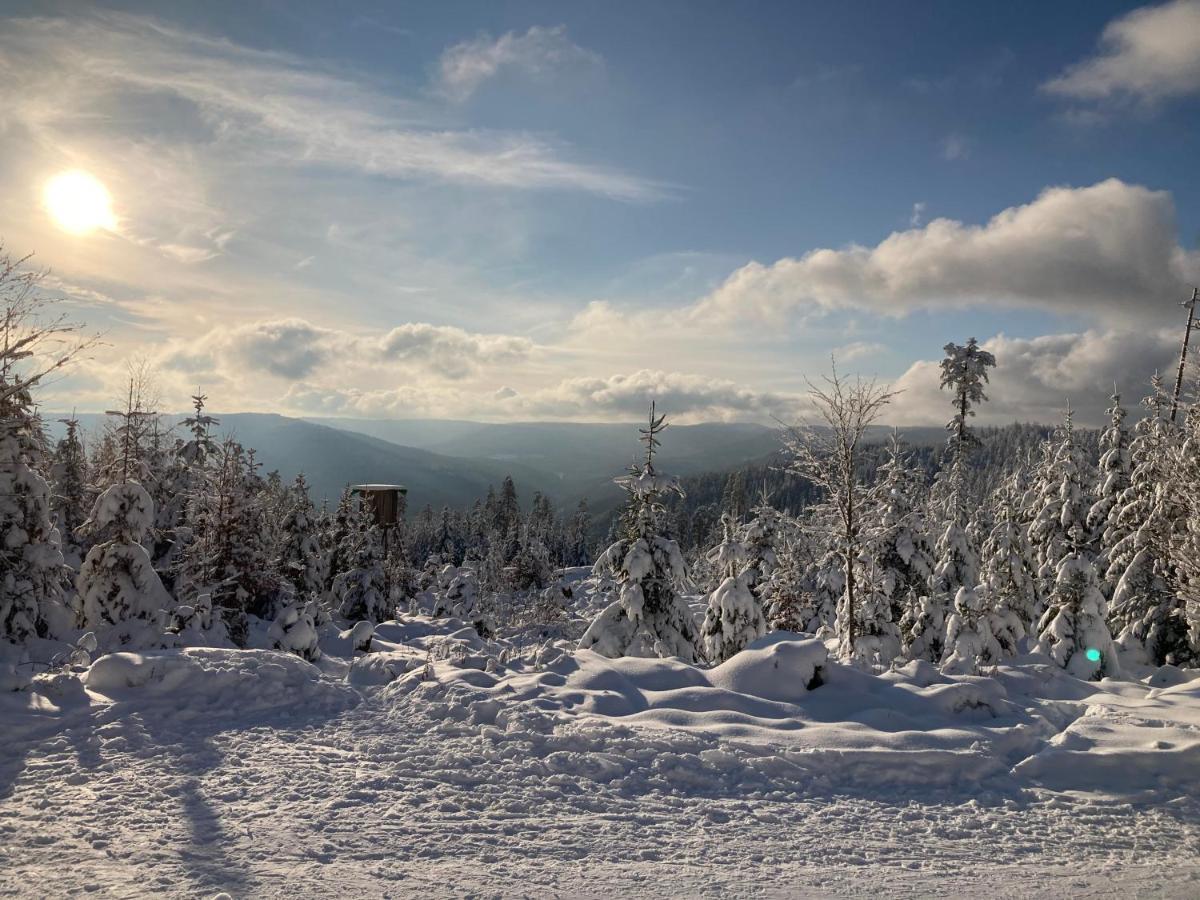 Schwarzwaldhotel Oberwiesenhof Seewald Экстерьер фото