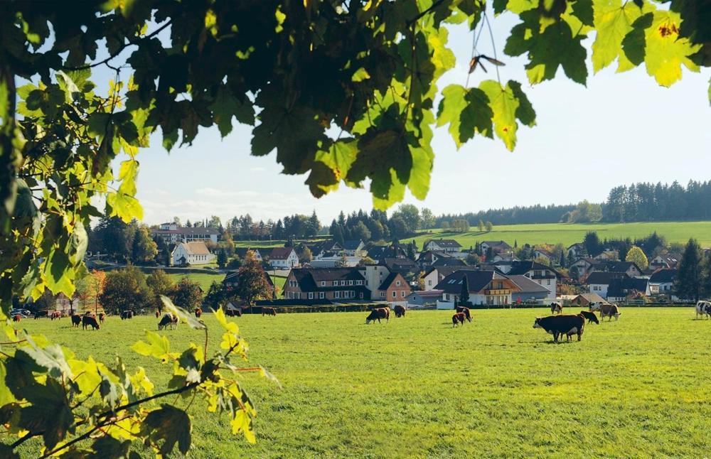 Schwarzwaldhotel Oberwiesenhof Seewald Номер фото